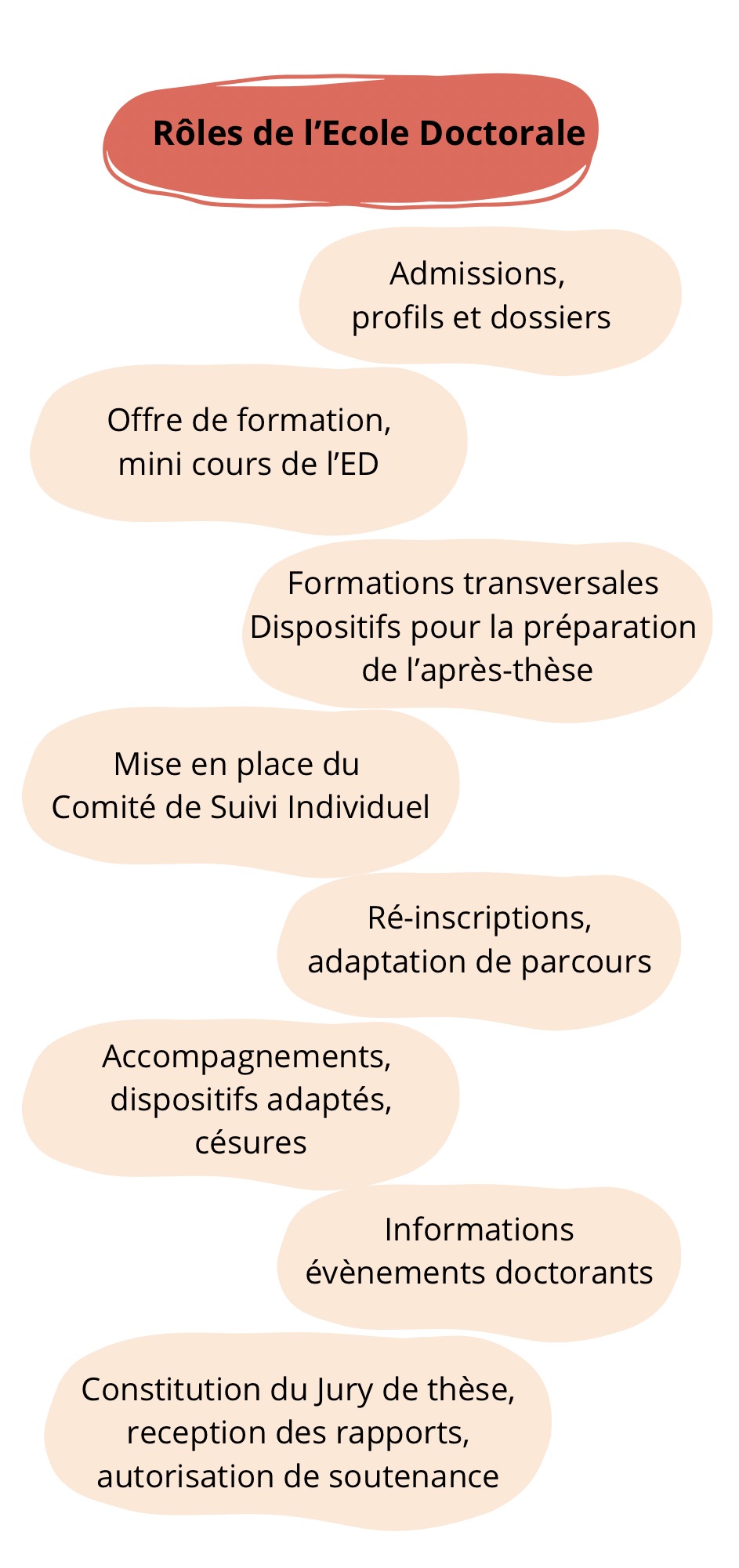 Les rôles de l'ED MSTII
