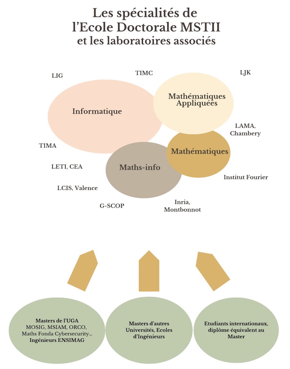 Les spécialités de l'ED MSTII